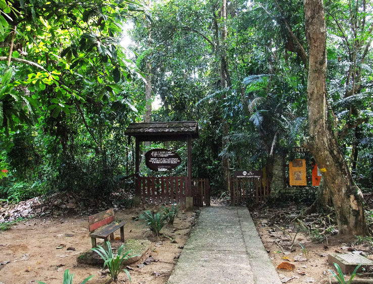 6. Taman Negara